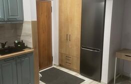 Apartament cu 2 camere, 43 mp, zona Viilor