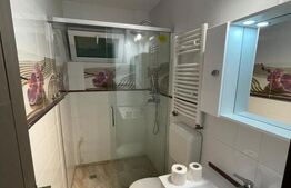Apartament cu 2 camere, 43 mp, zona Viilor