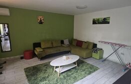 Casă spațioasă cu mansardă, curte amenajată cu grătar și beton, Zona Pucheni