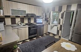 Casă spațioasă cu mansardă, curte amenajată cu grătar și beton, Zona Pucheni