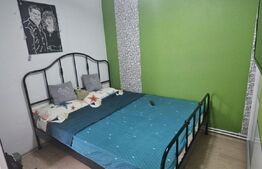 Casă spațioasă cu mansardă, curte amenajată cu grătar și beton, Zona Pucheni