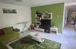 Casă spațioasă cu mansardă, curte amenajată cu grătar și beton, Zona Pucheni