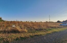 Teren de vanzare Branesti - 1900 mp 