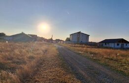 Teren de vanzare Branesti - 1900 mp 