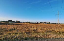 Teren de vanzare Branesti - 1900 mp 