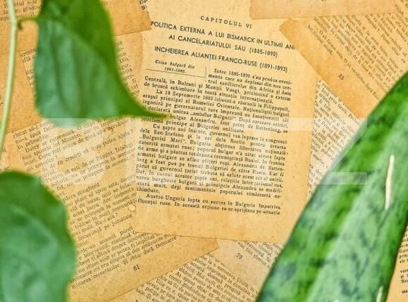 Garsonieră de vânzare Berceni - 180605AV | BLITZ București | Poza16