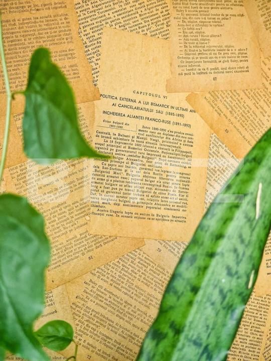 Garsonieră de vânzare Berceni - 180605AV | BLITZ București | Poza16