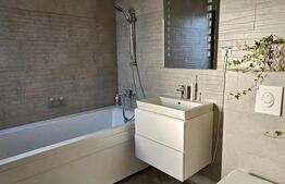 Penthouse, 155 mp, Pipera