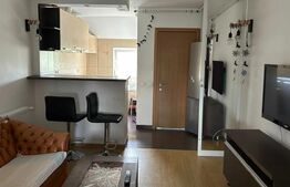 Apartament 2 camere - Dorobanti - Radu Beller