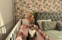 Apartament 2 Camere LUX Parcul Carol 2021