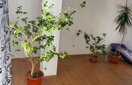 Studio 34 mp utili + balcon 4 mp, etaj 3/3, zona Sălaj – de vânzare