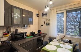 Apartament de 2 camere, 56 mp, Brancoveanu