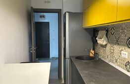 Studio de inchiriat zona TEI - Pet friendly + Loc de parcare | Prima inchiriere