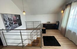 Vila deosebita cu 9 camere, 300 mp, zona Jolie Ville