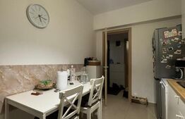 Apartament cu 3 camere - Parcul Carol Modern