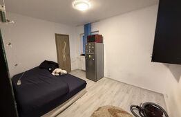 Garsonieră 19 mp – Zona 1 Decembrie 1918 / Sector 3 – Fără risc seismic