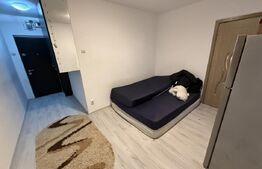 Garsonieră 19 mp – Zona 1 Decembrie 1918 / Sector 3 – Fără risc seismic