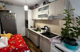 Proprietate cu Potențial de Dezvoltare – Teren 241 mp + Casa tip vagon