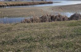 Teren de Vanzare - Lac Mogosoaia