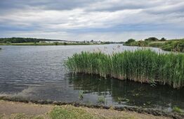Teren de Vanzare - Lac Mogosoaia