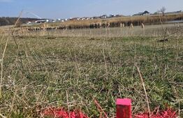 Teren de Vanzare - Lac Mogosoaia