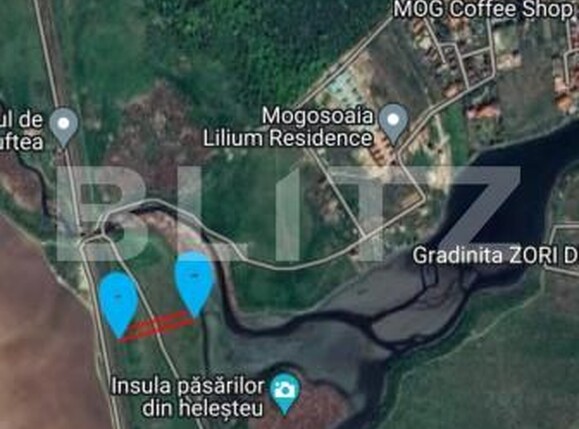 Teren de vânzare Mogosoaia - 182919TV | BLITZ București | Poza2