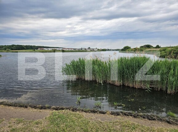 Teren de vânzare Mogosoaia - 182919TV | BLITZ București | Poza6