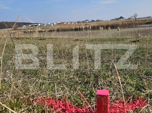 Teren de vânzare Mogosoaia - 182919TV | BLITZ București | Poza4
