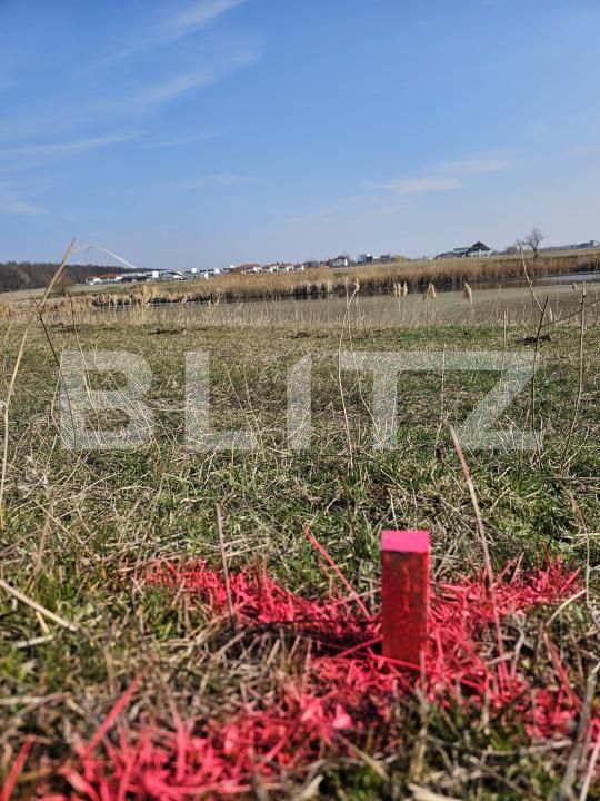 Teren de vânzare Mogosoaia - 182919TV | BLITZ București | Poza4