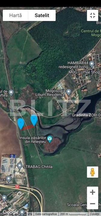 Teren de vânzare Mogosoaia - 182919TV | BLITZ București | Poza2