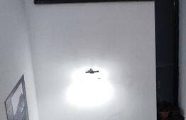 Casă duplex elegantă cu curte amenajată, în Berceni