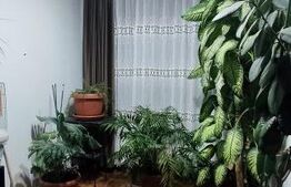 Casă duplex elegantă cu curte amenajată, în Berceni