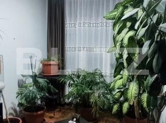 Casa de vânzare 4 camere Berceni - 183189CV | BLITZ București | Poza13