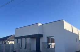 Casă nouă 3 camere + teren 274mp – zonă limitrofă Berceni / Crețești (Vidra)