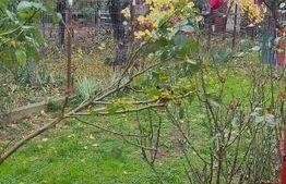 Casă modernă cu terasă și curte amenajată, centru Berceni