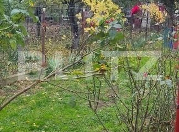 Casa de vânzare 4 camere Berceni - 183198CV | BLITZ București | Poza21