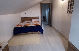 Casă elegantă într‑un duplex mobilat, curte 208 m² – Berceni