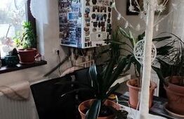 Casă individuală 175mp și curte – Berceni