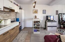 Casă individuală 175mp și curte – Berceni