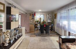 Casă individuală 175mp și curte – Berceni