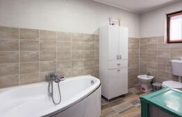 Casă individuală 175mp și curte – Berceni