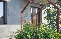 Casă individuală 175mp și curte – Berceni