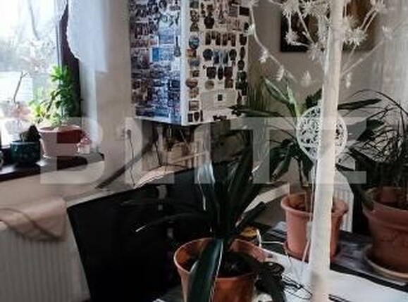 Casa de vânzare 5 camere Berceni - 183200CV | BLITZ București | Poza11