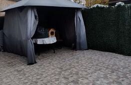 Casă duplex elegantă – zonă limitrofă Berceni / Crețești (Vidra)