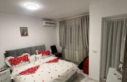 Casă duplex elegantă – zonă limitrofă Berceni / Crețești (Vidra)