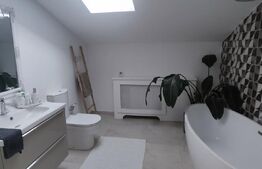 Vilă individuală 164 mp cu curte 425 mp - Berceni