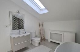 Vilă individuală 164 mp cu curte 425 mp - Berceni