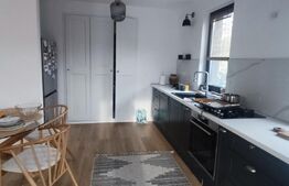 Vilă individuală 164 mp cu curte 425 mp - Berceni