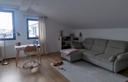 Vilă individuală 164 mp cu curte 425 mp - Berceni