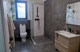 Vilă individuală 164 mp cu curte 425 mp - Berceni